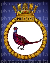 HMS Pheasant Magnet